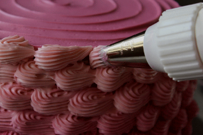 img_8224-medium-animation